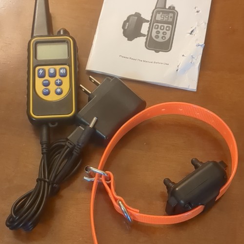 Orange dog training collar - training,