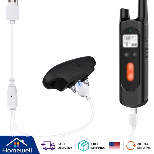 Portable dog training collar - dog,
