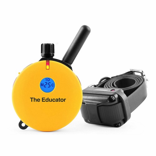 Collar technologies remote - e-collar,