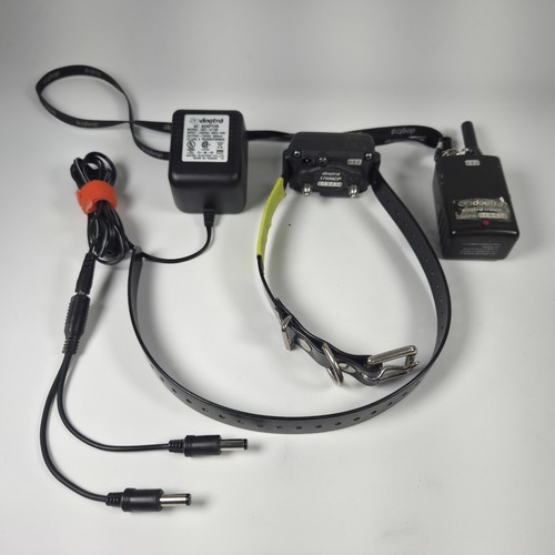 Dogtra 175ncp dog training - dog,