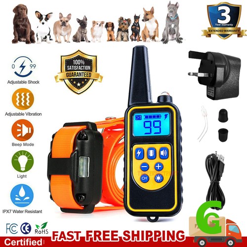 Dog pet training - training, collar