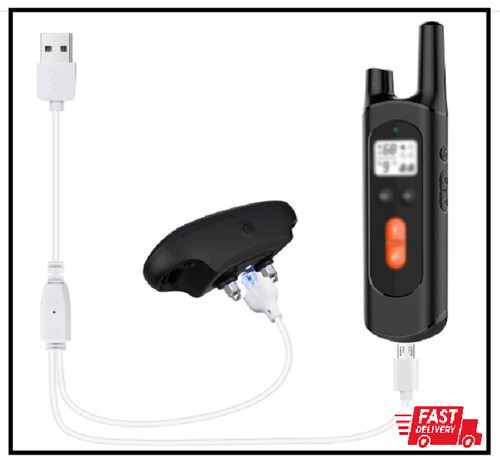 Dog training collar charger - training,
