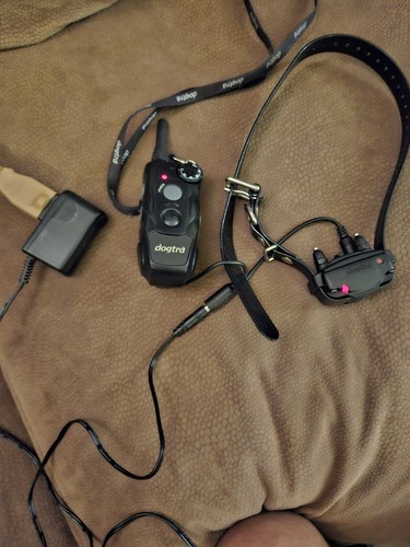 Dogtra black remote dog - dogtra,