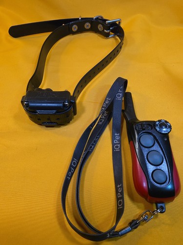 Dogtra plus remote dog - remote,