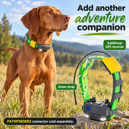 Dogtra pathfinder2 mini - dogtra,